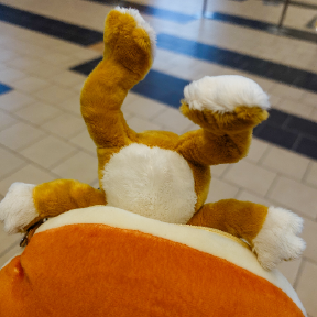 どこか